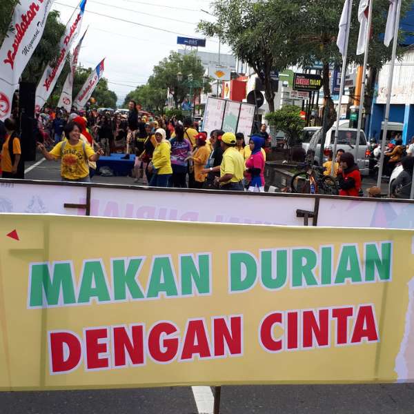 portfolio event kr pro 12